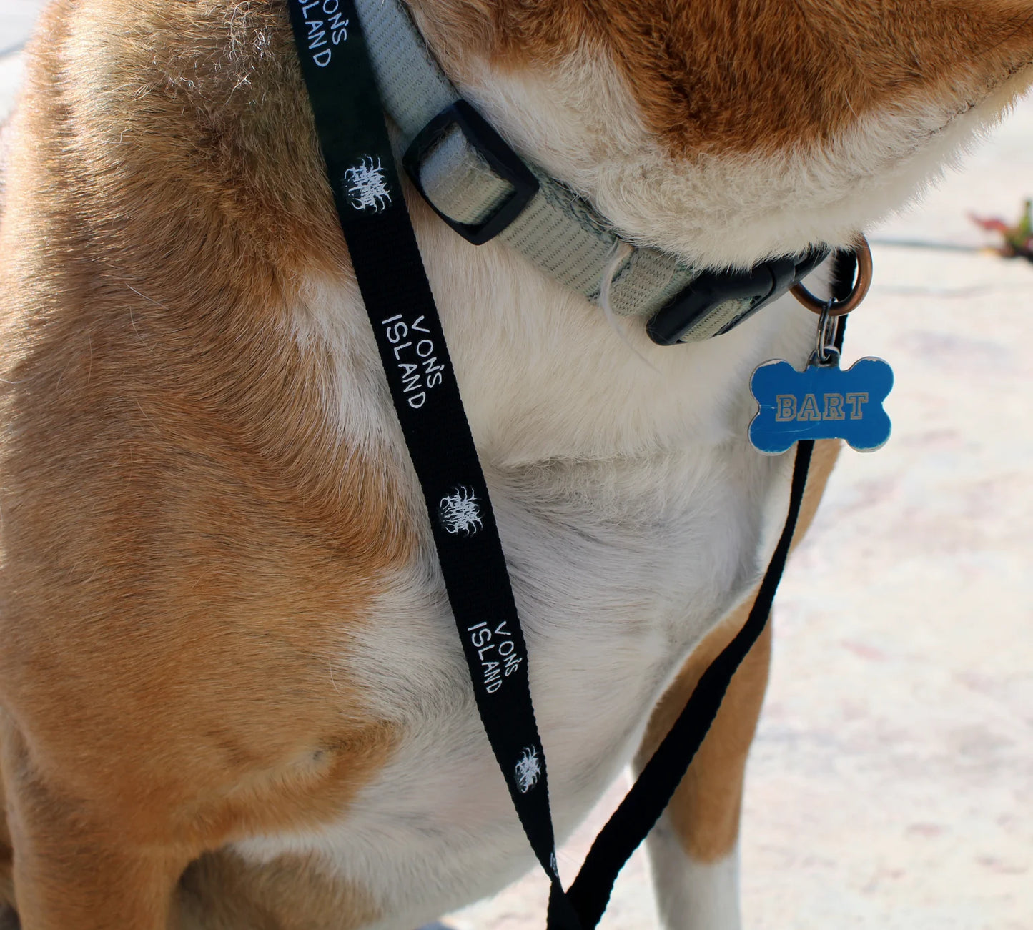 LOGO LANYARD